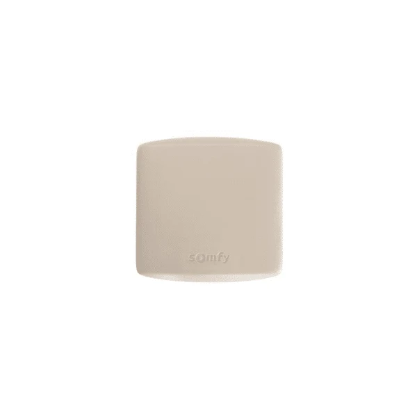 Somfy récepteur universel RTS extérieur gris clair 1810624