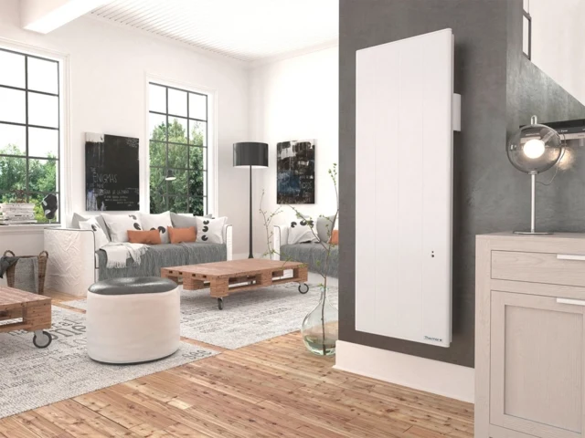 Radiateur connecté chaleur douce Ovation 3 extra plat - vertical - Thermor