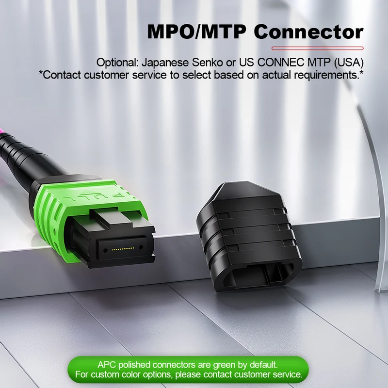 AMPCOM MPO Trunk Cable, MPO-12 APC (Female) to MPO-12 APC (Female), 12 Fibers, Multimode (OM4), LSZH/Riser, 0.35dB Max, Magenta