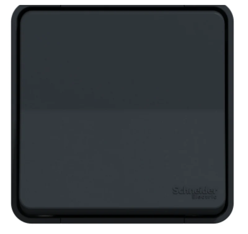 Va et vient étanche saillie Mureva Styl - IP55 gris complet - Schneider MUR35021