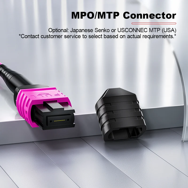 AMPCOM MPO Trunk Cable, MPO-12 UPC (Female) to MPO-12 UPC (Female), 12 Fibers, Multimode (OM4), LSZH/Riser, 0.35dB Max, Magenta