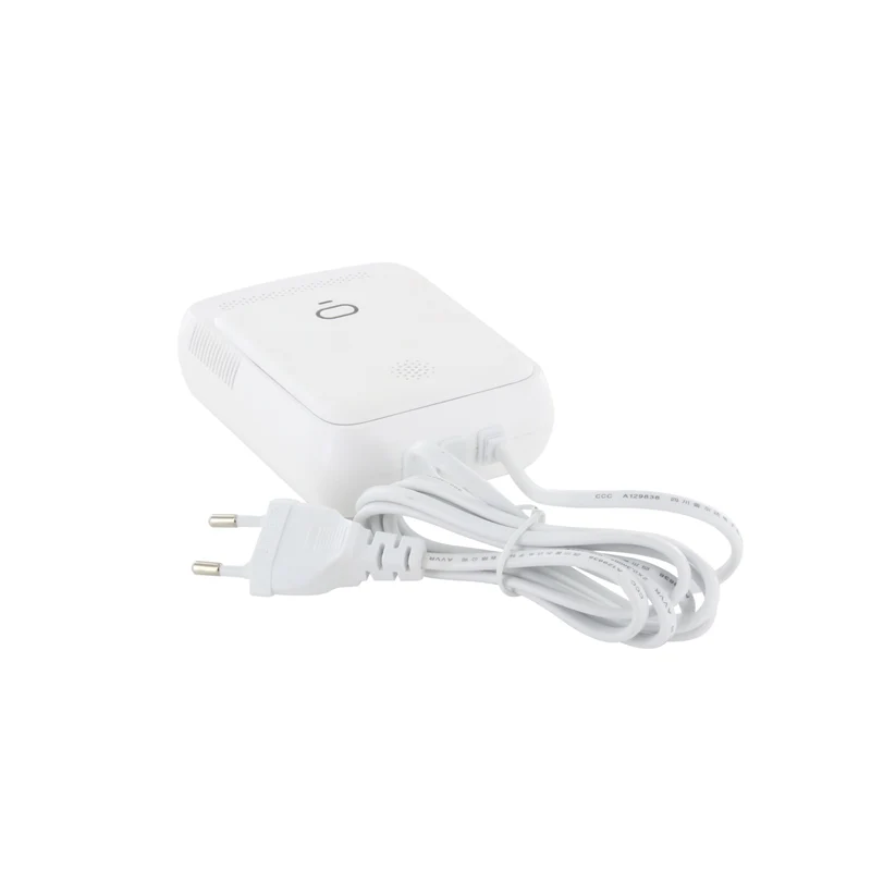 Gas leak detector