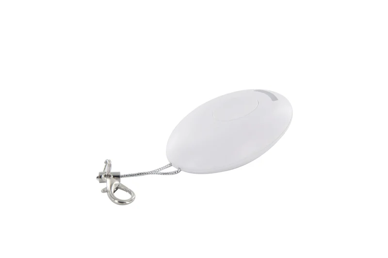 Keychain remote control