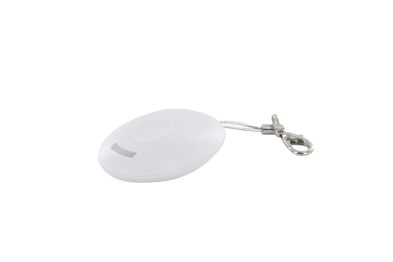Keychain remote control