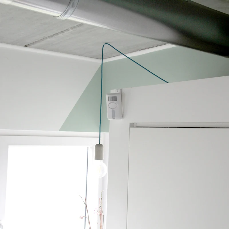 Motion detector with alarm