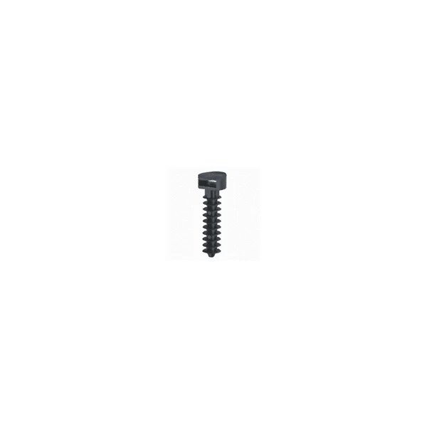 Embase à cheville standard protégé UV Noir LEGRAND 031955