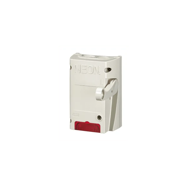 Coffret de sécurité pour coupure enseigne lumineuse 2P 16A LEGRAND 038050