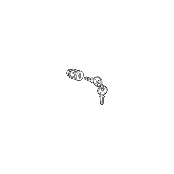 Barillet à clé type 405 pour porte métal ou vitrée XL³ avec 2 clés 020291