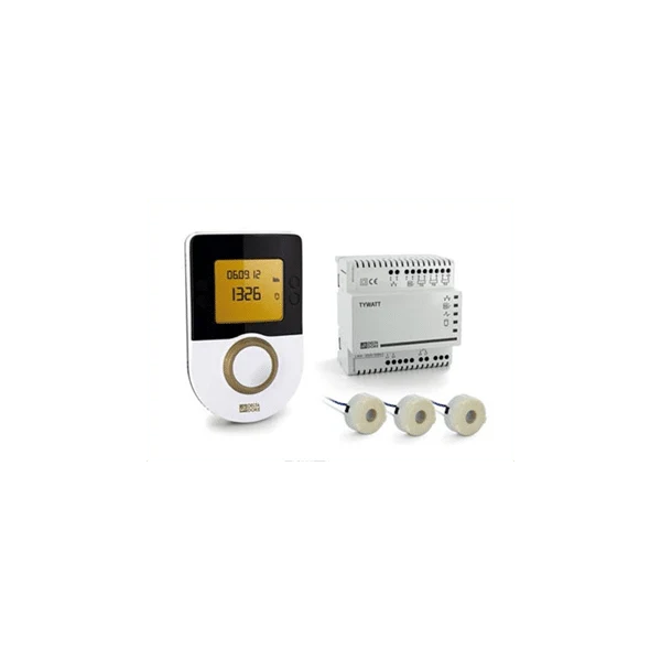 Indicateur de consommation d'énergie affichage simple TYWATT 1000 DELTA DORE 6110026