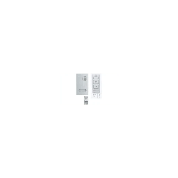 Kit portier audio mains libres 2 fils intégral - Aiphone DBS1AP