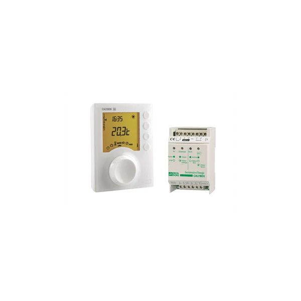 Gestionnaire d'énergie 3 zones jour/hebdo compatible domotique Calybox 230 DELTA DORE 6050392