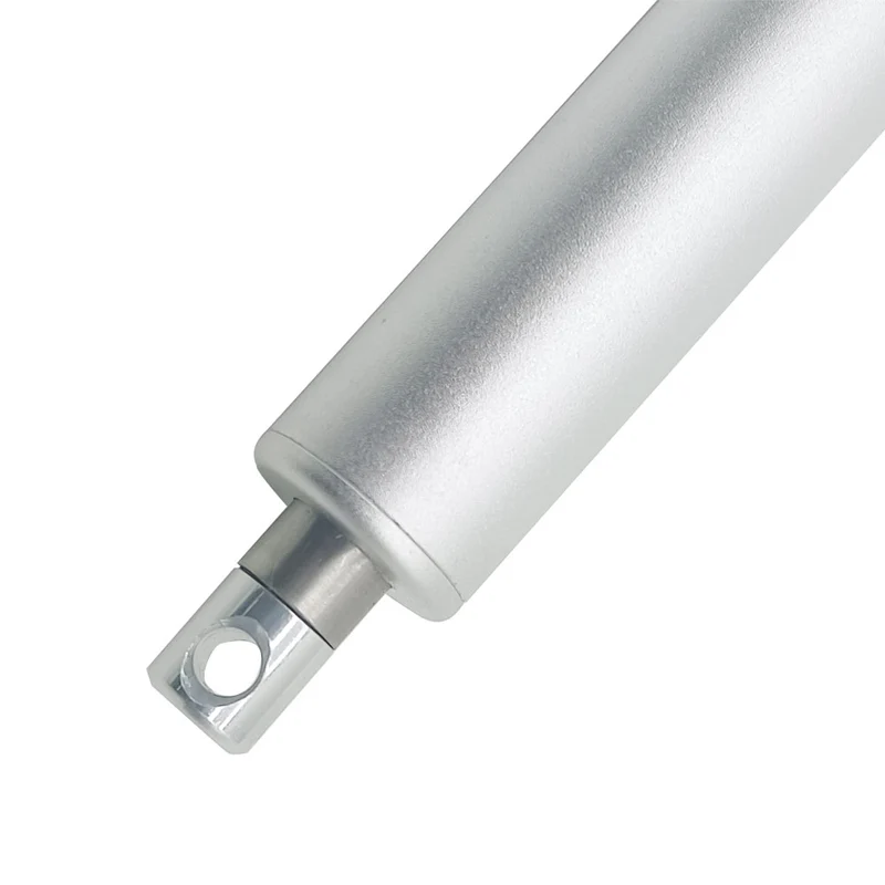 Course 300 mm Vérin Électrique Type Stylo 12V 24V Poussée 120N (Modèle: 0041586)