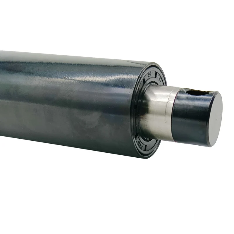 800kg vérin électrique 12V 24V actionneur linéaire course 500 mm (Modèle: 0041545)