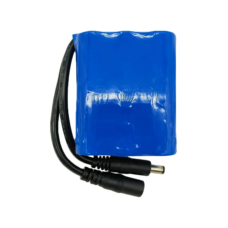 Paquet Batterie Lithium Rechargeable 12V 5600mAh 18650 (Modèle: 0010203)
