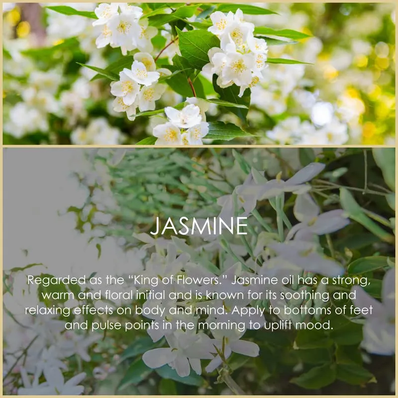 SALKING Huiles Essentielles Jasmin 120ml, 100% Naturelle Bio Huiles Essentielles Aromathérapie pour Diffuseurs, Humidificateur, Massage/Spa/Soin Des Cheveux Bain Idéal Coffret Cadeau