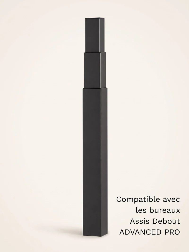 Colonne motorisée universelle pour bureau Assis Debout électrique