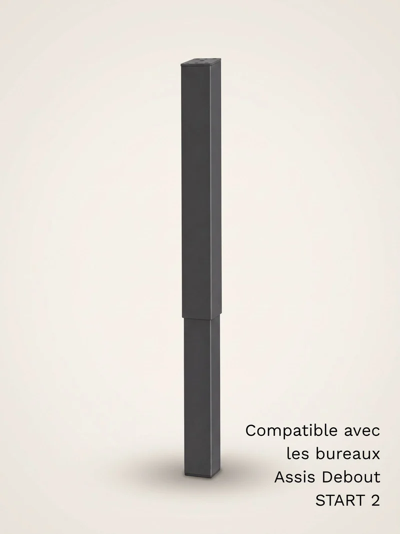 Colonne motorisée universelle pour bureau Assis Debout électrique