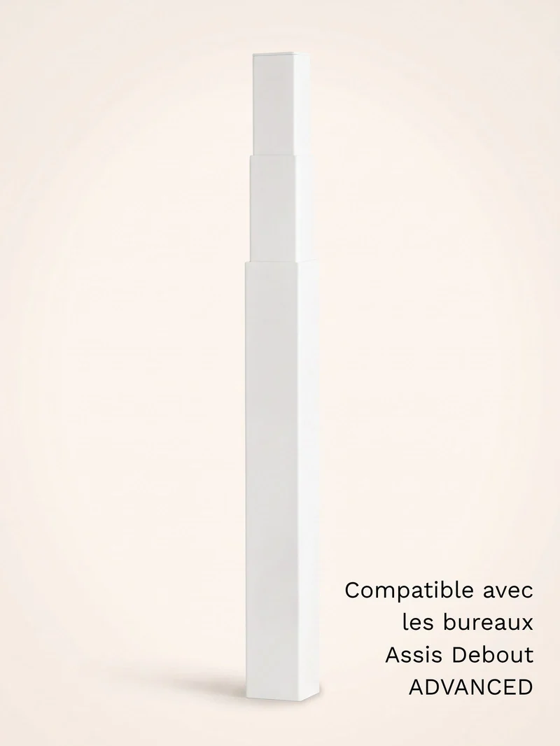 Colonne motorisée universelle pour bureau Assis Debout électrique