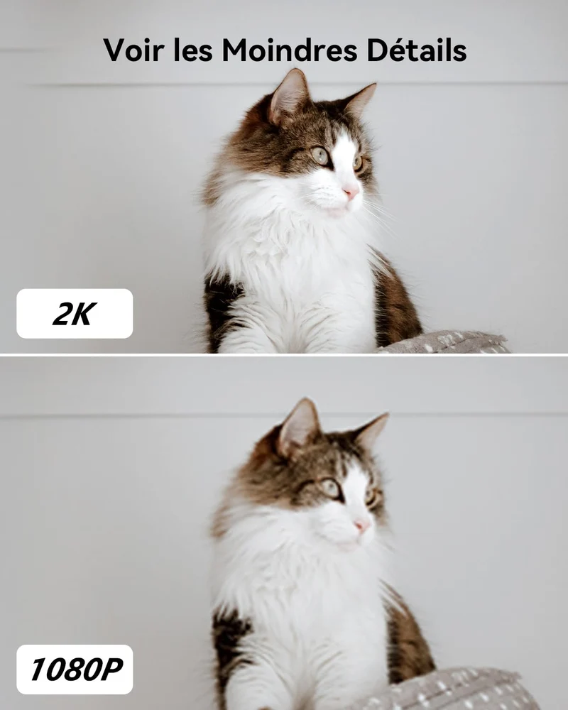 Imou 2K(3MP) Caméra Surveillance WiFi Intérieure Caméra 360° Connectée Smartphone avec Détection Humaine AI Suivi Intelligent Sirène Audio Bidirectionnel Compatible Alexa pour Bébé/Animaux