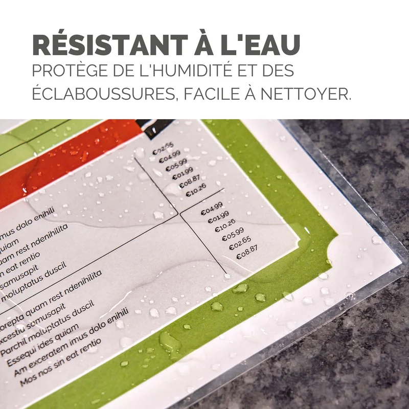 Pochettes de plastification Fellowes au format A4, 80 microns, Pack de 100 Feuilles à plastifier, Finition Brillante, Technologie ImageLast Aspect Haute Qualité, Idéal pour les photos et affiches