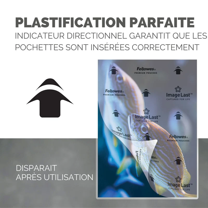 Pochettes de plastification Fellowes au format A4, 80 microns, Pack de 100 Feuilles à plastifier, Finition Brillante, Technologie ImageLast Aspect Haute Qualité, Idéal pour les photos et affiches