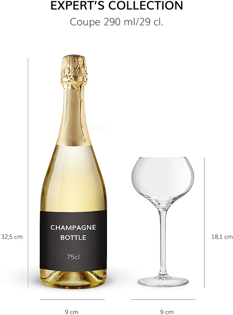 Verre Champagne Servan de Libbey 29 cl / 290 ml 6 Unités Verre de Luxe Lave-Vaisselle