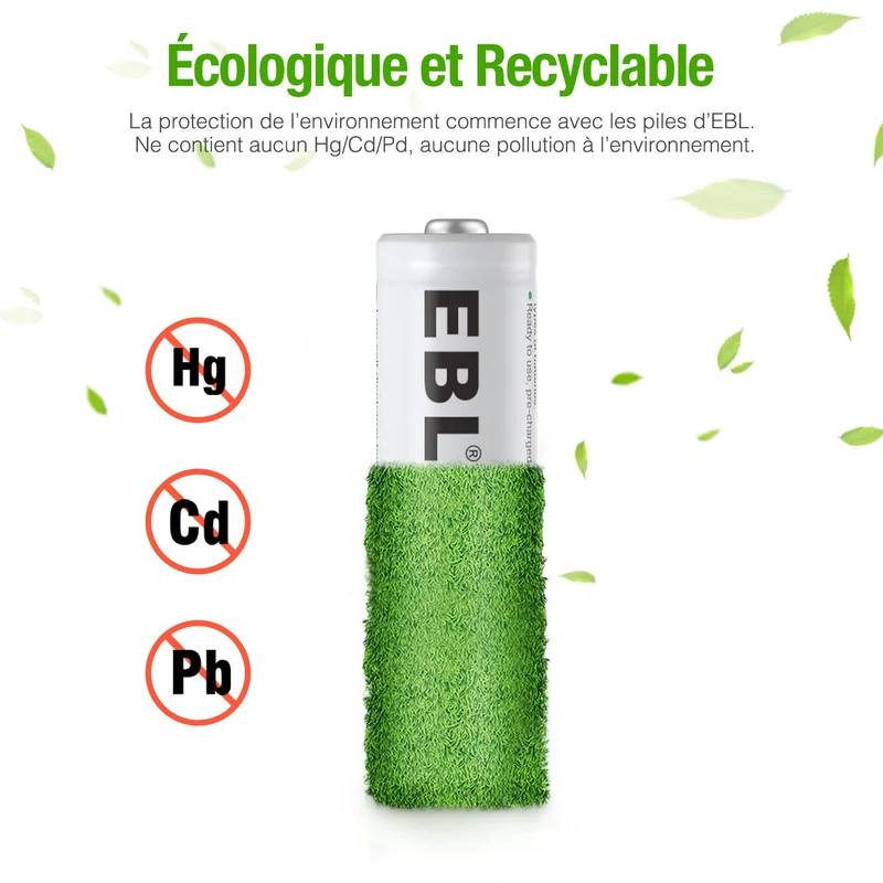 EBL 16PCS Piles AA Rechargeables 2800mAh 1,2V Ni-MH, AA/HR6 Piles Rechargeables Haute Performance et Longue Durée avec Boîte de Stockage