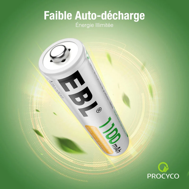 EBL 16PCS Piles AAA Rechargeables, AAA Piles Rechargeables Ni-MH 1,2V Auto-Décharge Faible, Compatible avec Jouet, Rasoir, Télécommande, etc.