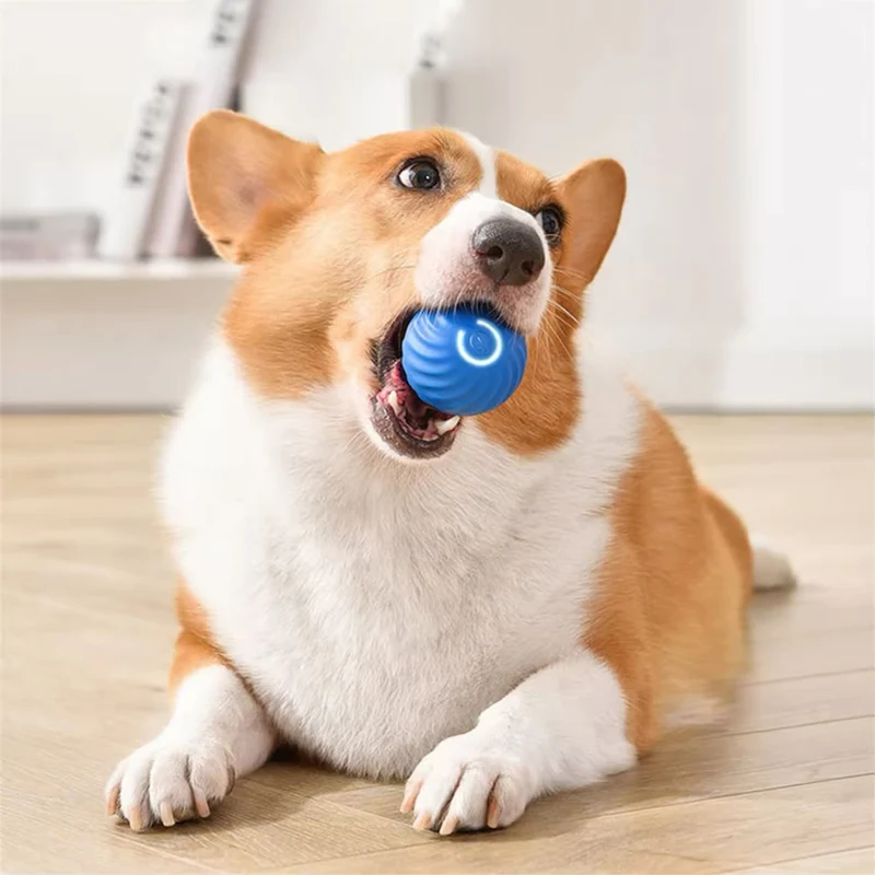 Balle intelligente interactive pour animaux