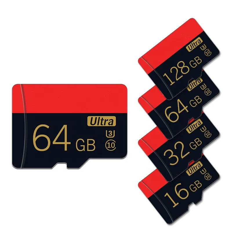 Carte mémoire Micro SD