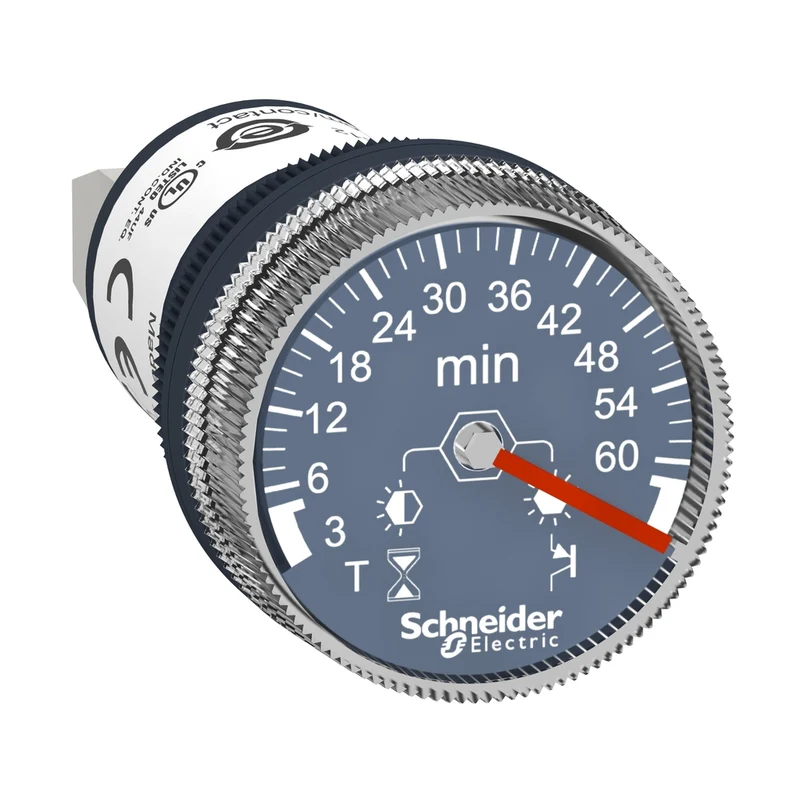 Panel Mounted Timer Monofunction, Harmony XB5, Plastic, 22mm, Time Delay 3...60min, 24V DC