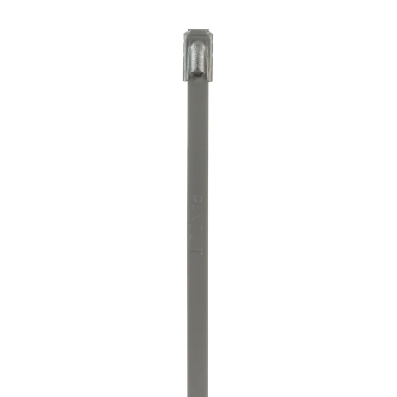 Pan-Steel® Cable Tie, SS 304, Standard, 2" Dia., PK100 MLT2S-CP