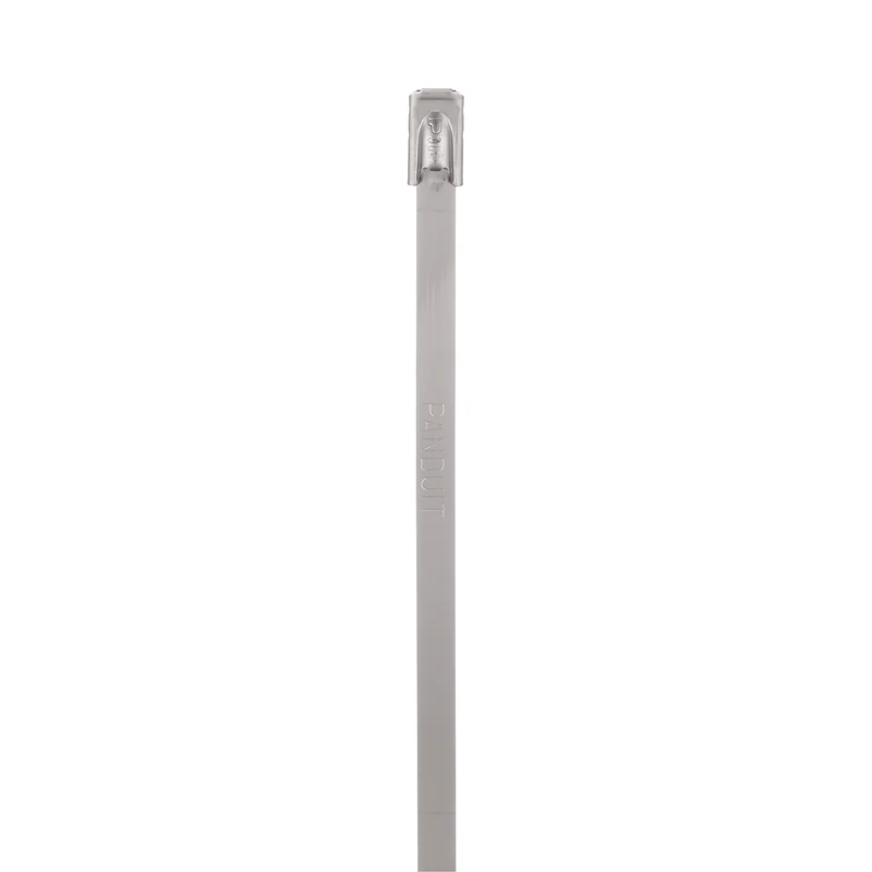 Pan-Steel® Cable Tie, SS 304, Standard, 6" Dia., PK100 MLT6S-CP