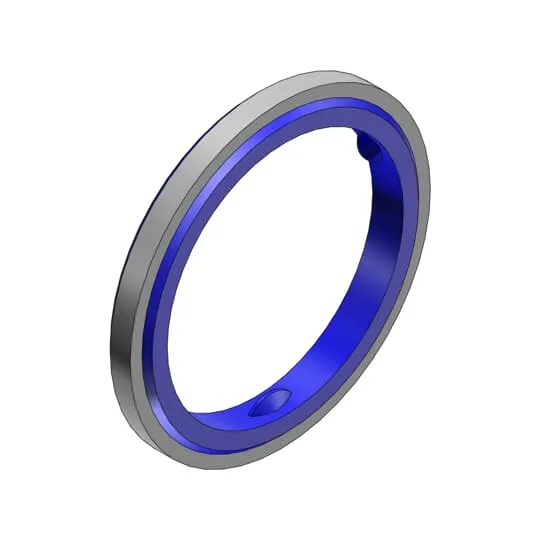 SEALING RING 1IN WITH STAINLESS STEEL RETAINER