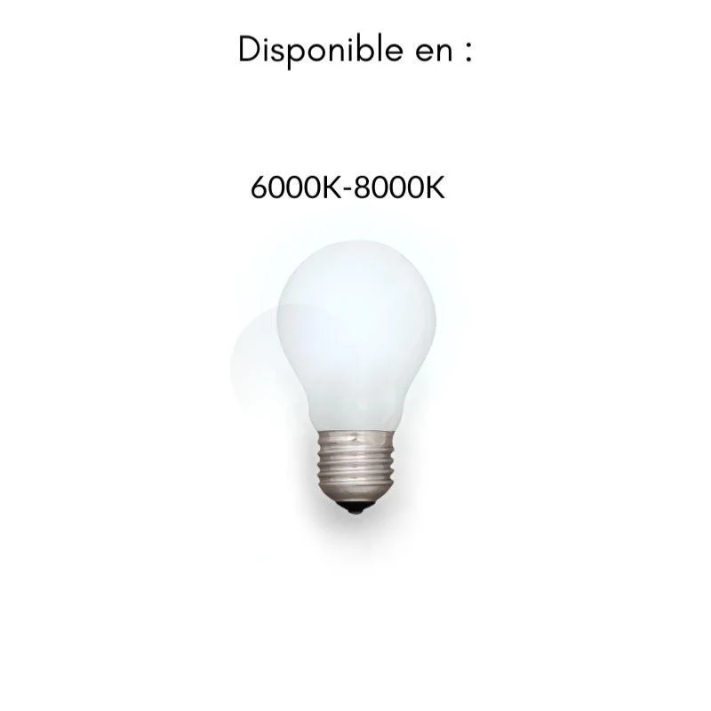 Projecteur LED Industriel 100W IP65 Noir