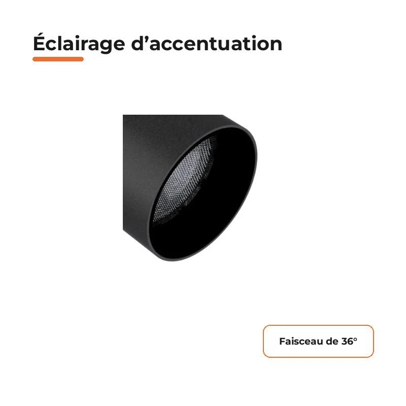 Pack de 10 - Spot LED sur Rail Noir Monophasé 24W 36° TRIAC Dimmable