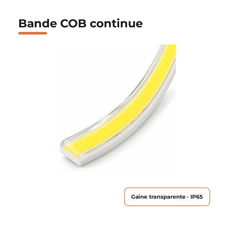 Ruban LED COB 50M 220V Recoupable 50cm IP65 288LED/m