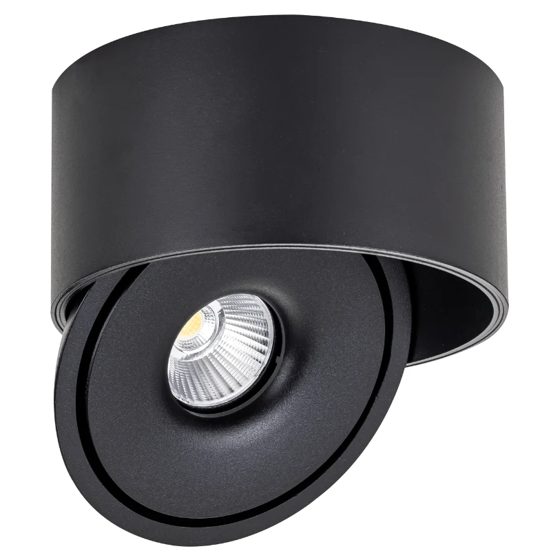 Spot LED en Saillie COB 30W Rond ø176mm Orientable CCT Noir - 3000K/4000K/6000K