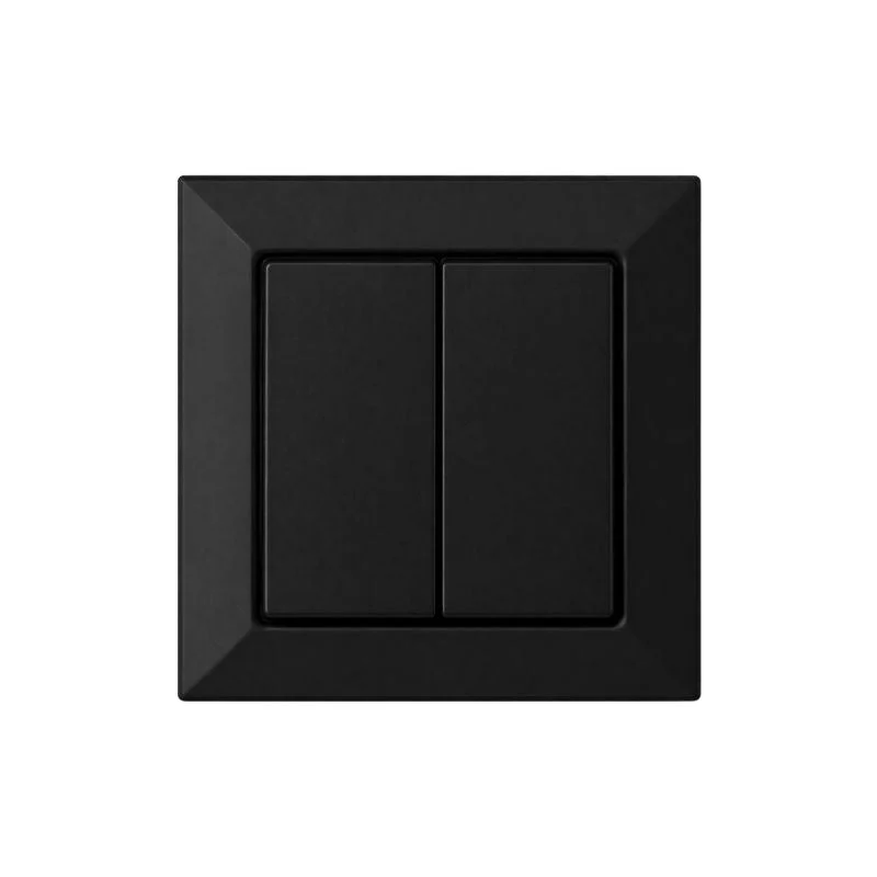 Interrupteur Mural Double Encastré 10A + Plaque de Finition Simple - Noir mat