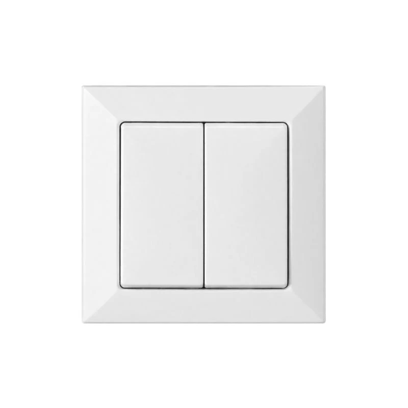 Interrupteur Mural Double Encastré 10A + Plaque de Finition Simple - Blanc mat