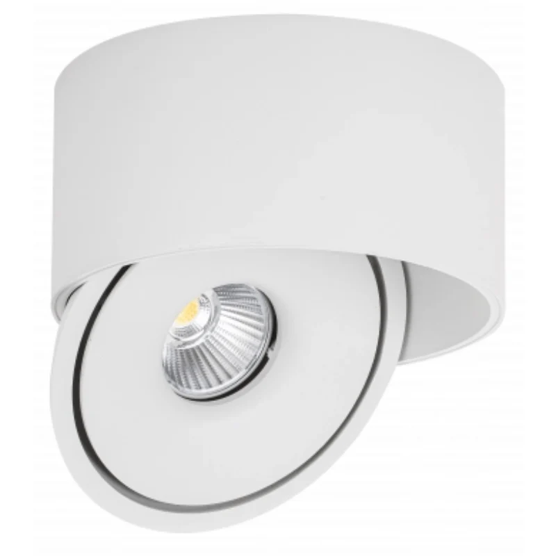 Spot LED en Saillie COB 30W Rond ø176mm Orientable CCT Blanc - 3000K/4000K/6000K