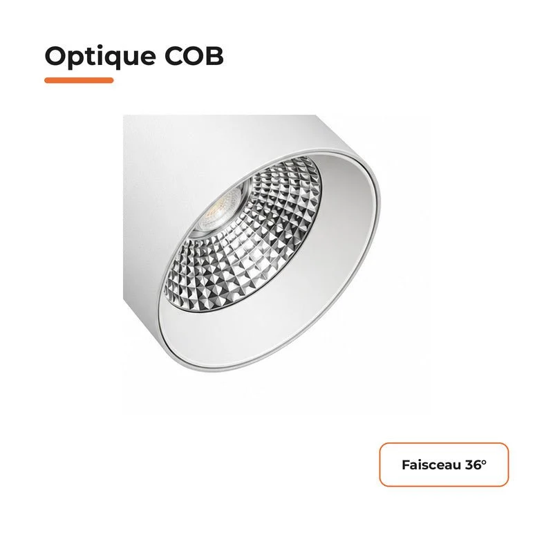 Spot LED sur Rail COB Triphasé 30W 36° Blanc - Garantie 5 ans
