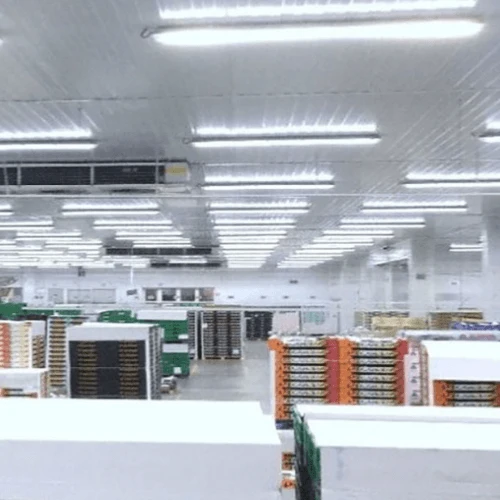 Pack de 12 - Kit de Réglette LED étanche + 1 Tube Néon LED 150cm T8 22W