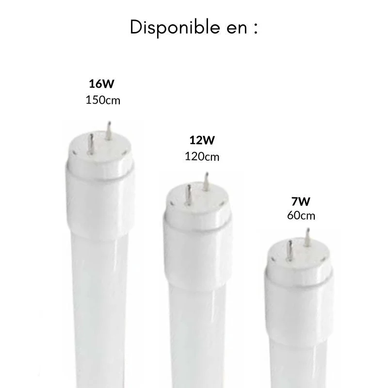 Tube Néon LED T8 120cm 12W - Pack de 25