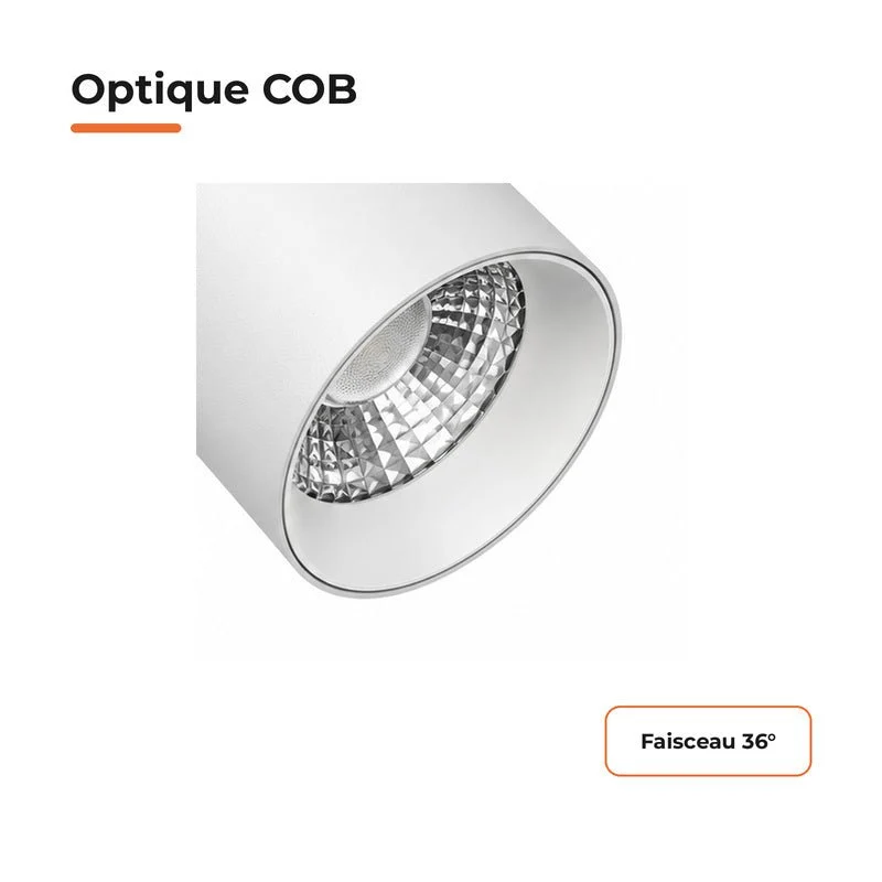 Spot LED sur Rail COB Triphasé 40W 36° Blanc Philips - Garantie 5 ans