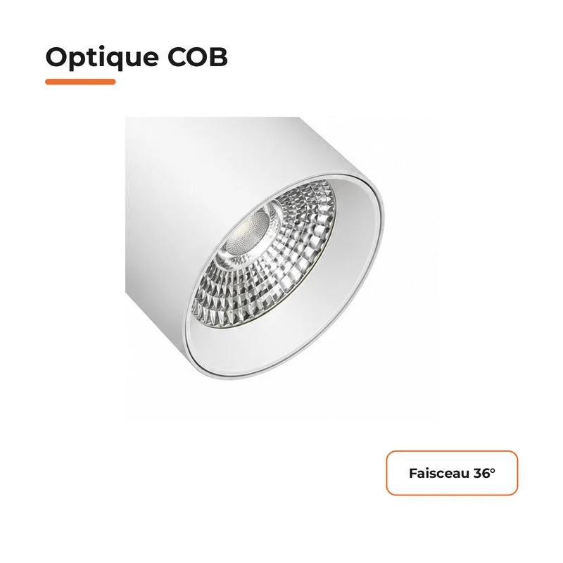 Spot LED sur Rail COB Triphasé 10W 36° Blanc Philips - Garantie 5 ans
