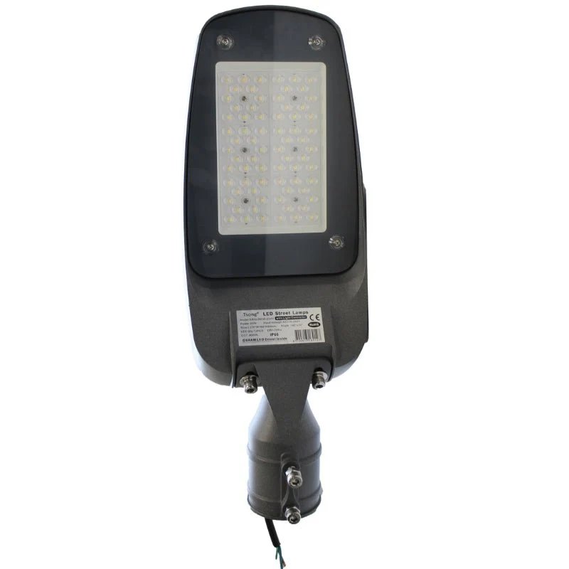 Luminaire LED Urbain 100W 160lm/W IP66 220V avec Détecteur de Lumière