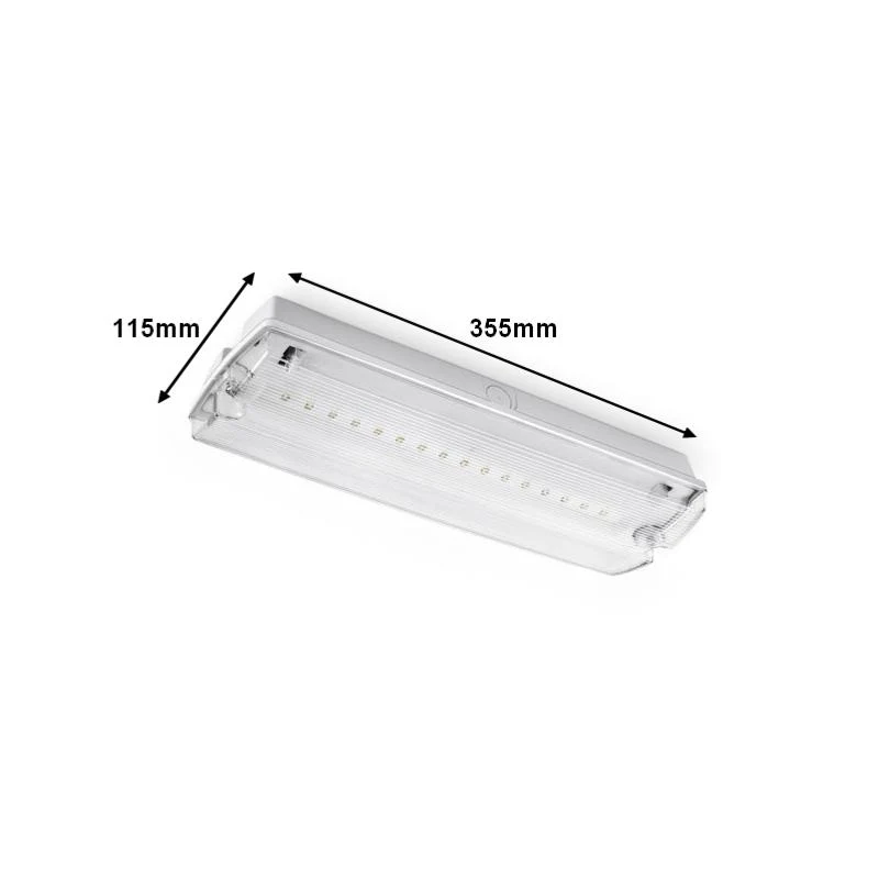 Bloc de secours BAES LED Batterie 4 Pictogrammes 4W IP65