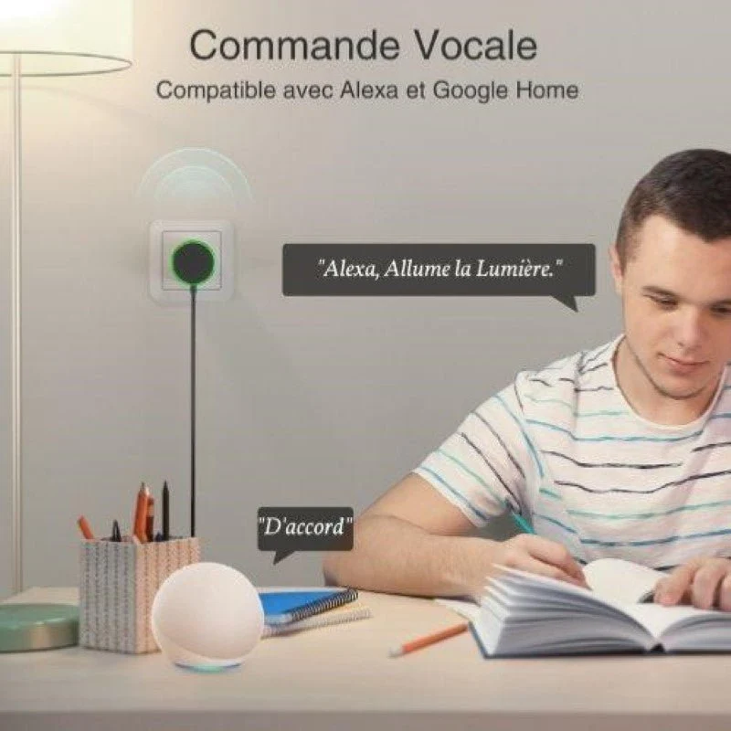 Prise Connectée Intelligente WiFi 2.4GHz 16A Blanche + 2 Ports USB 2.1A (Lot de 2)