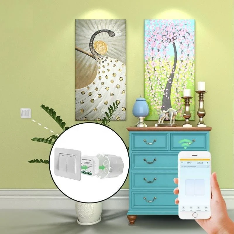 Module Double Interrupteur Zigbee